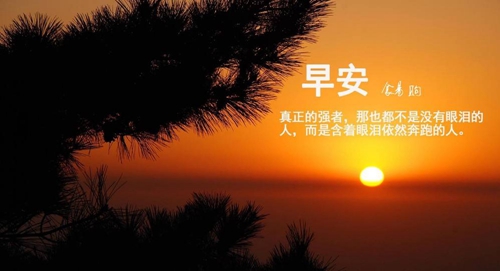 抖音笑容太甜泪水太咸是什么歌