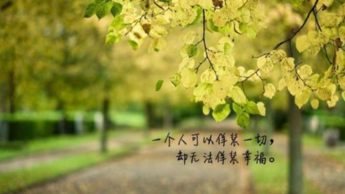 大全伤感说说2